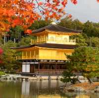 京都好去處