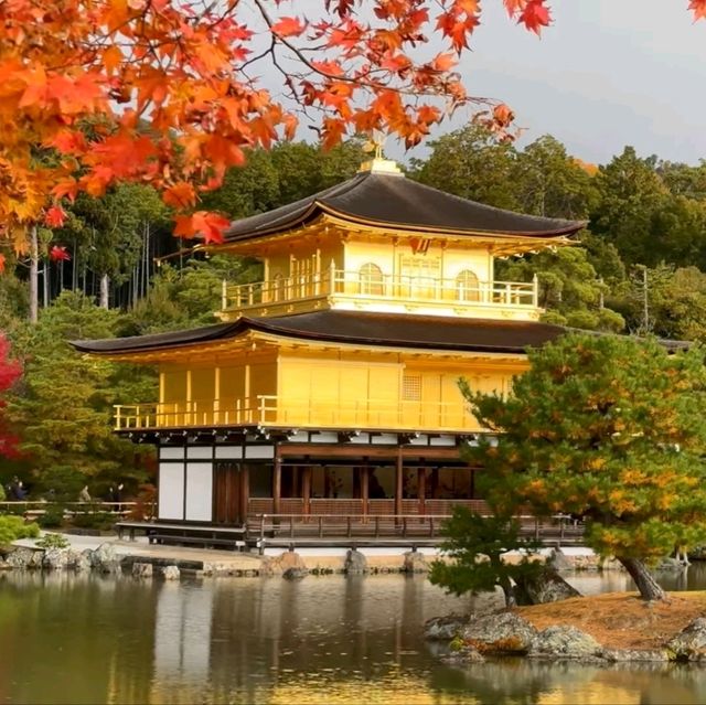 京都好去處