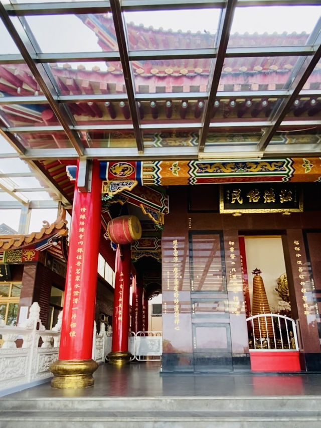 樟山寺漫遊-品茶、賞景與山林靜心之旅