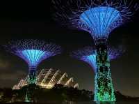 A Breathtaking Oasis: Gardens by the Bay