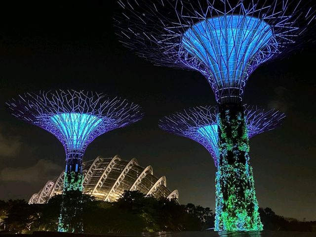 A Breathtaking Oasis: Gardens by the Bay
