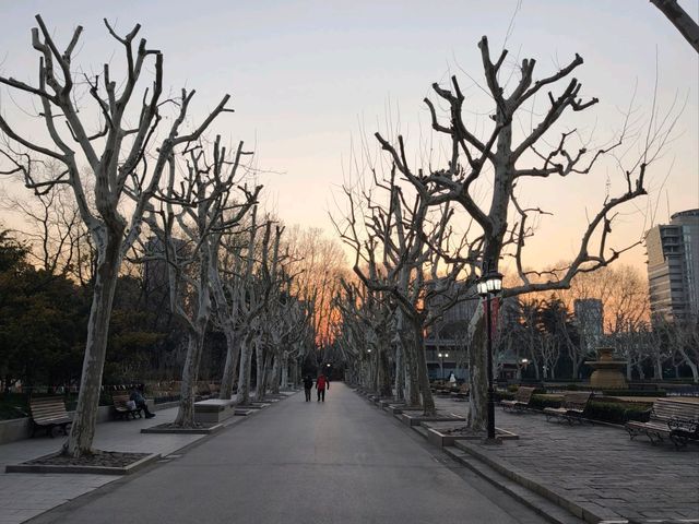 復興公園/思南書局