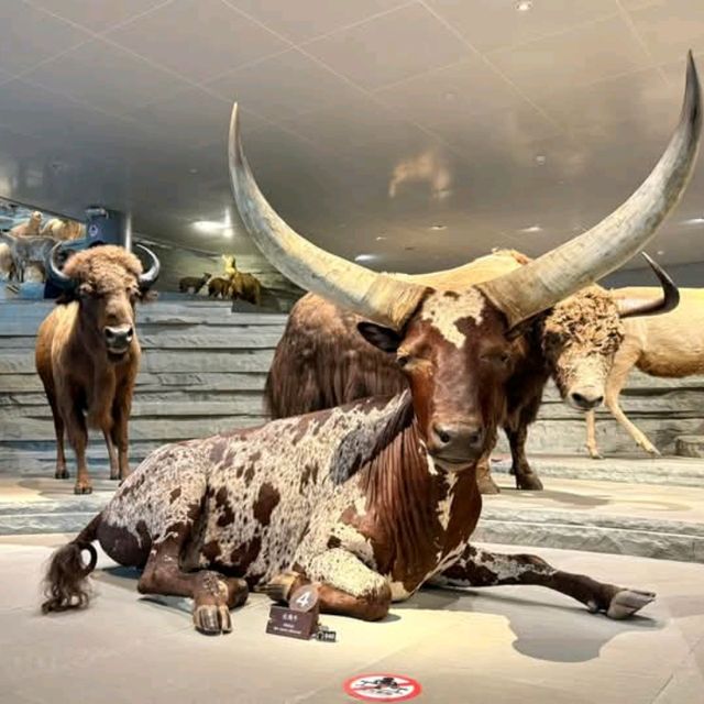 สุดยอดพิพิธภัณฑ์ Shanghai Natural History Museum