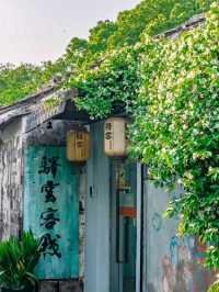 Uncover the Timeless Beauty of Tongli
