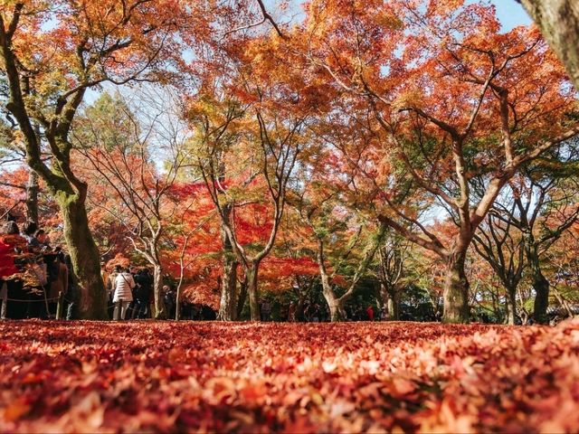 Tokufuji temple