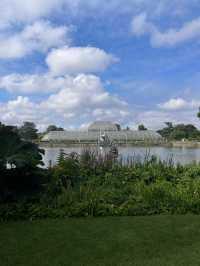 【London ,Kew gardens】