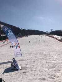 Alpensia Pyeongchang: A Perfect Winter Escape 