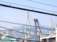 부산 영도 부산항대교뷰 애견동반숙소 윤윤재🏠