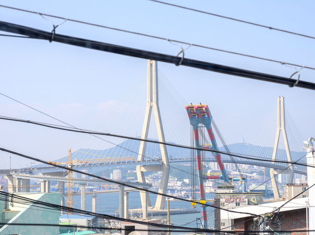 부산 영도 부산항대교뷰 애견동반숙소 윤윤재🏠