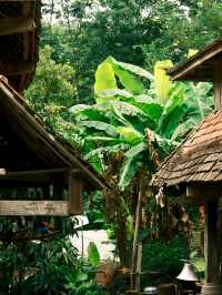 Manzhang Village: Preserving Dai Traditions