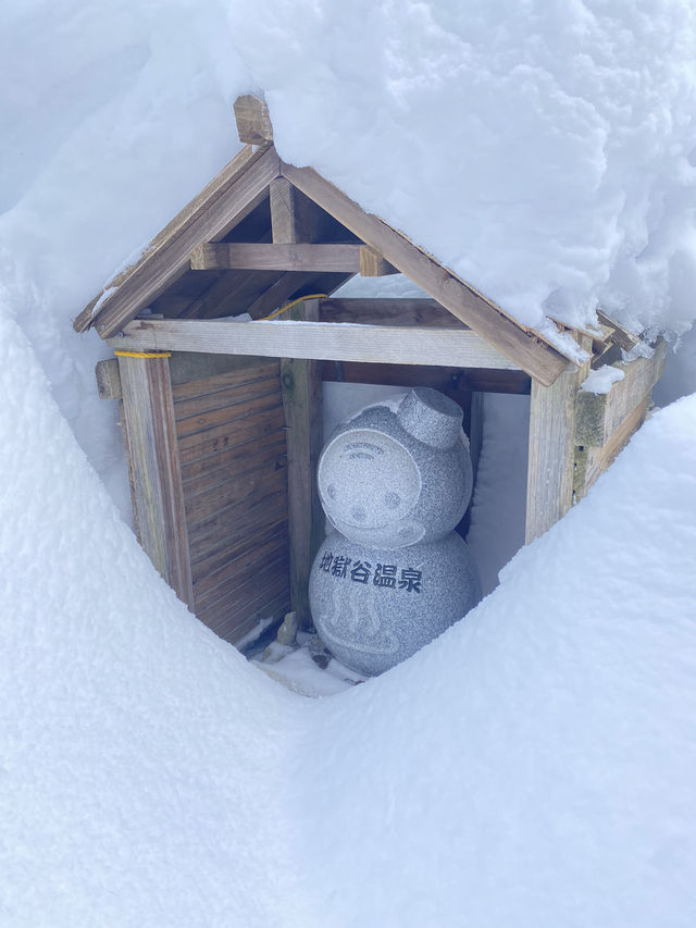 日本長野 冬天必去！