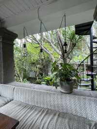 🇮🇩 Zest Ubud - Best Vegan restaurant in Bali ! 