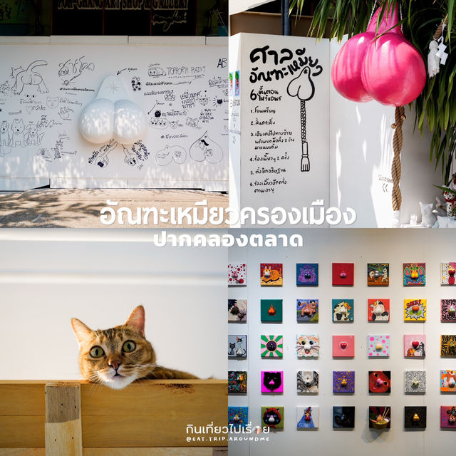 เช็คอิน 8 จุดถ่ายรูป Bangkok Design Week 2025