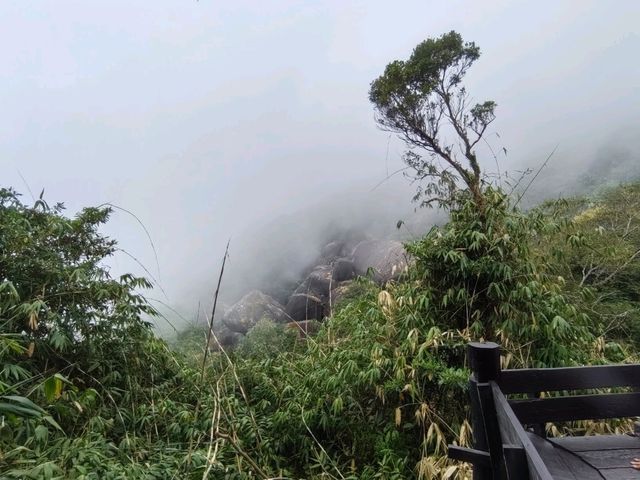 เดินนมัสการรอยพระบาทเขาคิชกุฎ 