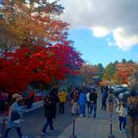 ศาลเจ้านิกโก้โทโชกุ (Toshogu Shrine)