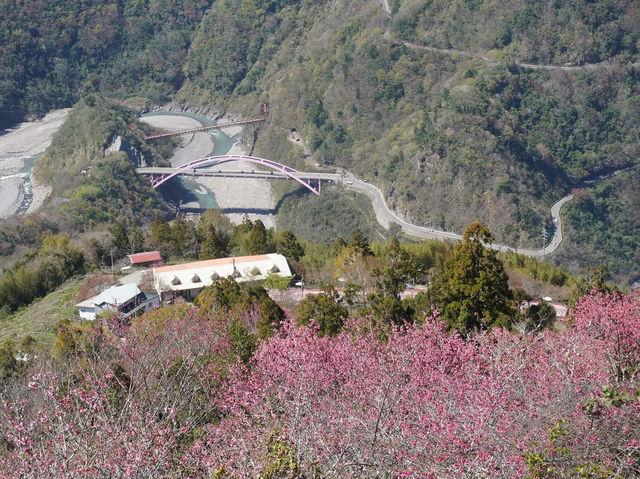 三龜戲水觀景平台