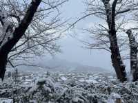 Winter Serenity at Matsushiro Castle
