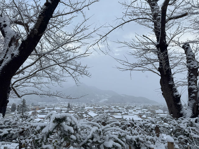 Winter Serenity at Matsushiro Castle