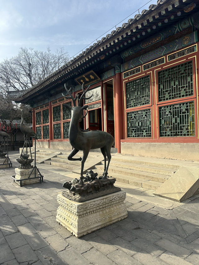 베이징의 대표 유적지, 이화원(颐和园)에 가다! 