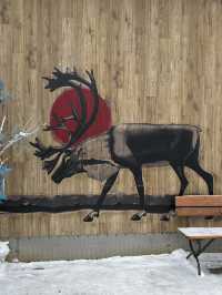 The most delicious restaurant in Murmansk!