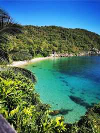 Bedarra Island Resort