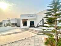 S-Curve Specialty Coffee Cafe 