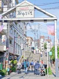東京逛不完~🐈无意中发现的🐱城🐈