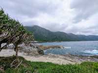 豐濱海岸-石梯坪景區，慢遊賞鯨勝地和漁港小吃