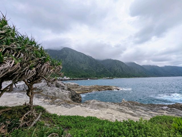 豐濱海岸-石梯坪景區，慢遊賞鯨勝地和漁港小吃