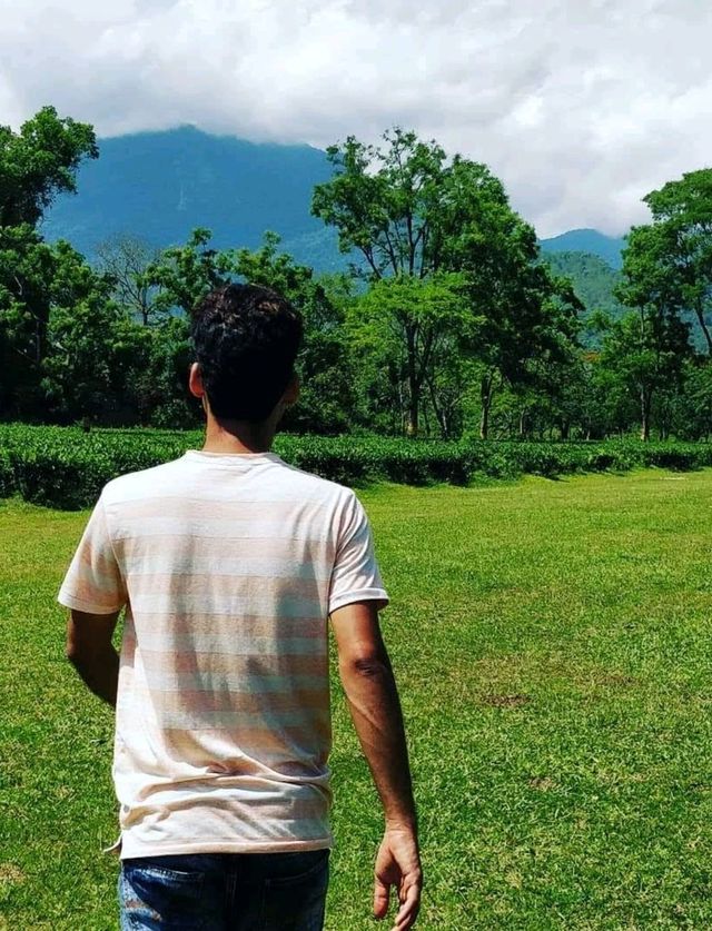 Spring outing into the Tea Farm 🌼