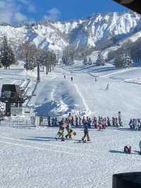 越後湯澤玩雪趣