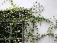 The Creeper House 