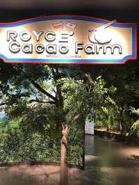 โรงงานช็อคโกแลต Royce