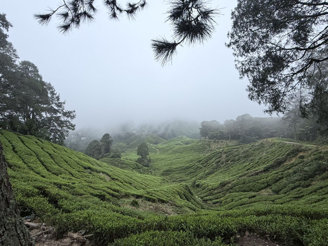 Get lost in nature’s beauty…