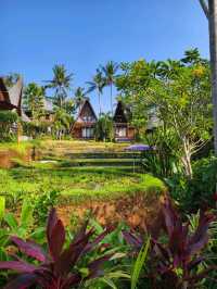 Bali accommodation review