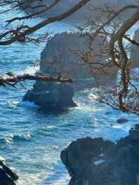 💙 伊豆城ヶ崎海岸｜癒しのクラインブルーに出会う 🌊