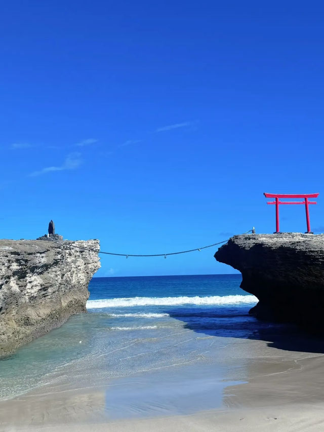 🇯🇵 東京 🆚 大阪｜初めての日本旅行、どっちを選ぶ？✨
