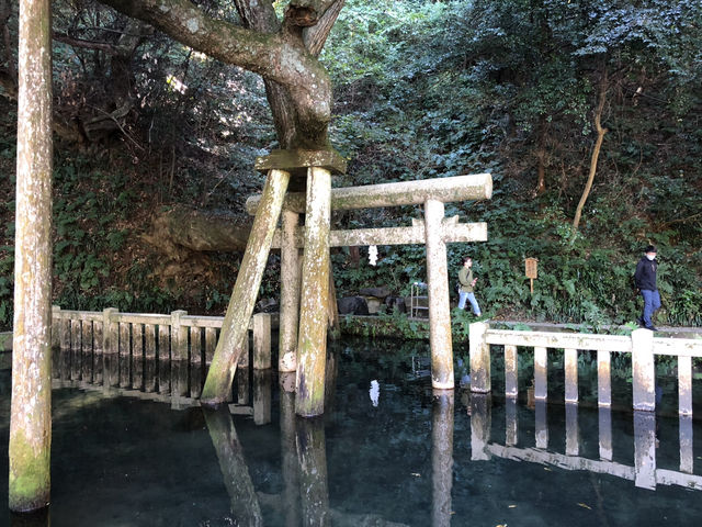 日本の守護神　建国・武道の神様『武甕槌大神』