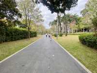 深圳清新自然美地✨四海公園 🌸🌿