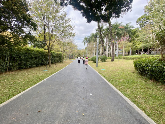 深圳清新自然美地✨四海公園 🌸🌿