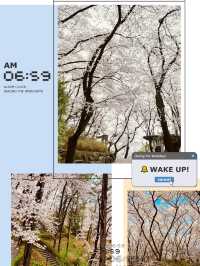 Temi's Spring Walk: Urban Nature's Delight