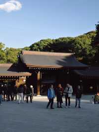 Meiji Shrine ศาลเจ้าแห่งความสงบใจกลางโตเกียว