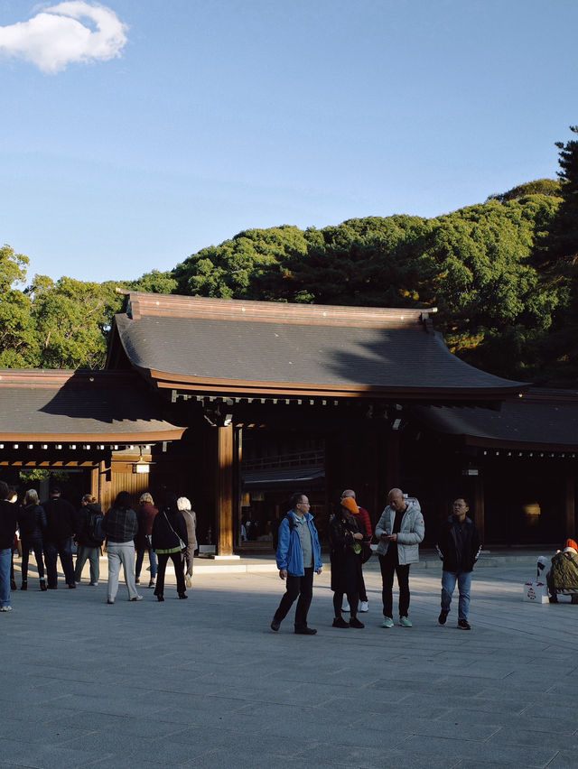 Meiji Shrine ศาลเจ้าแห่งความสงบใจกลางโตเกียว
