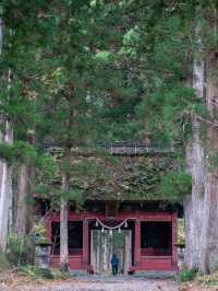 戸隠神社⛩️ 神秘的な杉並木が続くパワースポット