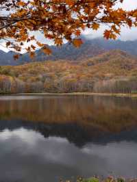 戸隠の鏡池🌿 静寂に包まれた絶景リフレクション