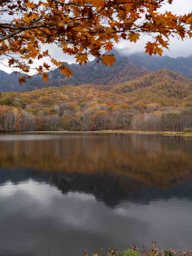 戸隠の鏡池🌿 静寂に包まれた絶景リフレクション