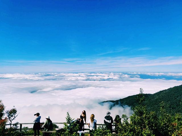泰國清邁著名茵他農國家公園景點：Kew Mae Pan Viewpoint，美麗的雲海，適合休閒徒步打卡拍照📸