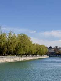 🇨🇳Beijing Forbidden City Day Tour