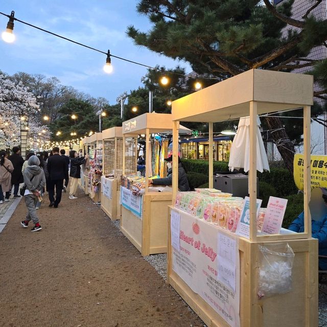 벚꽃 축제 중인 김천 연화지