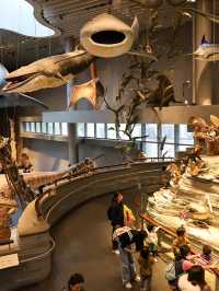 Shanghai Natural History Museum สุดอลังการว้าวสุดๆ